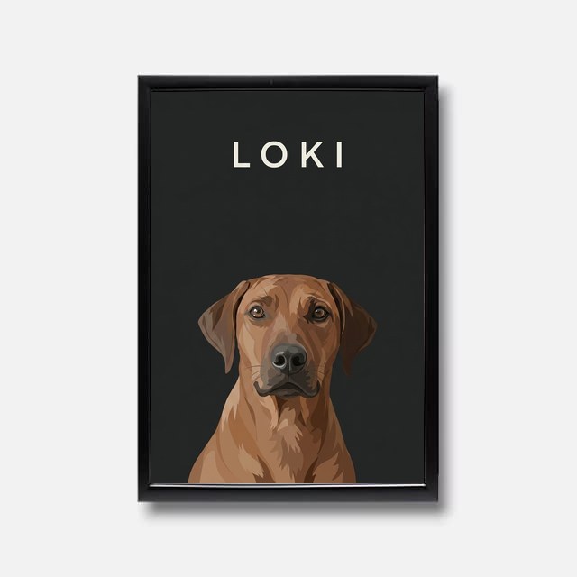 Pet portrait