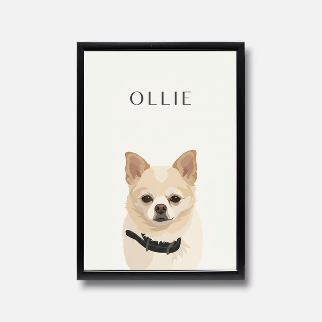 Boutique Illustrated